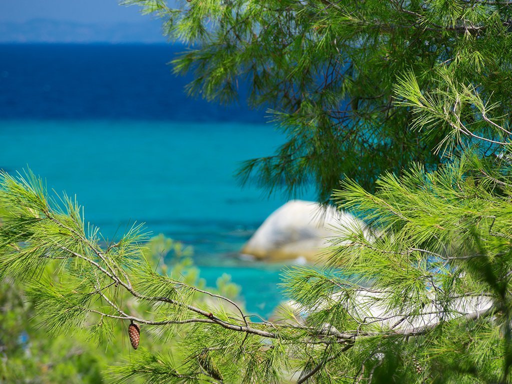 Kassandra Halkidiki - Coralli Holidays rooms & apartments